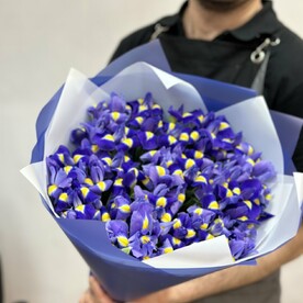 Букет из 51 ирисов