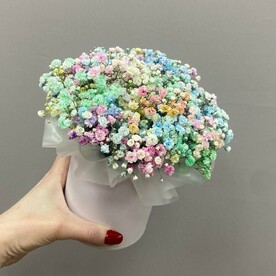 Радужная гипсофила для малышки