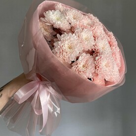Облачко хризантемы🌸