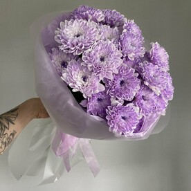 Лавандовая хризантема 💜