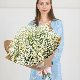 Букет из ромашек и гипсофилы XXL 🌸