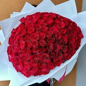 Букет гигант из 151 красных роз в белой упаковке