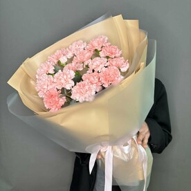 15 стойких диантусов