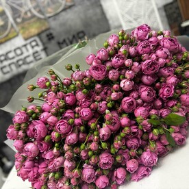 Букет из 51 кустовой розы мисти бабблс