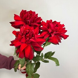 Букет из необыкновенной французской розы