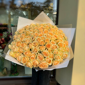 101 пич аваланш 70 см
