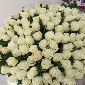 101 роз Аваланш 70см