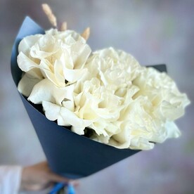 Роза французская