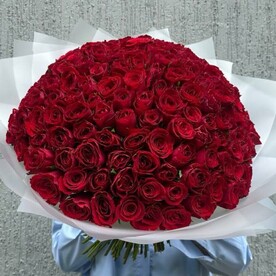 151 Роза