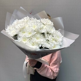 Хризантема кустовая белая