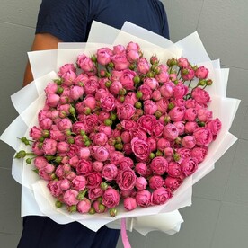 Кустовая пионовидная мисти баблс
