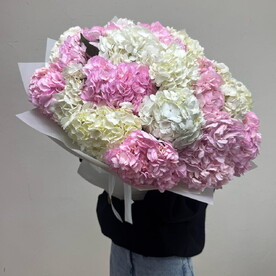Букет гигант WOW из белой и розовой гортензии 🤍🌸