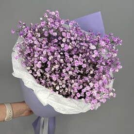 Букет - Кулек из гипсофилы