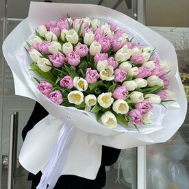 101 пионовидных тюльпанов ЛОТОС