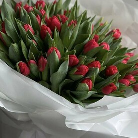 101 пионовидный тюльпан ЛОТОС