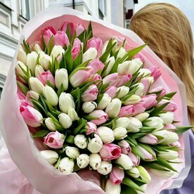 101 пионовидный тюльпан