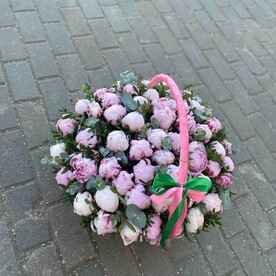 Пион сара бернард шт, Зелень шт, Оазис шт, шт, Корзина шт