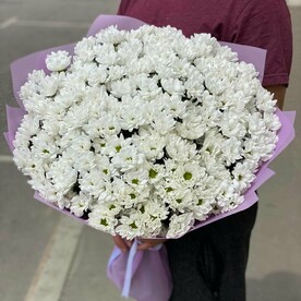 Хризантема кустовая, Дизайнерская упаковка