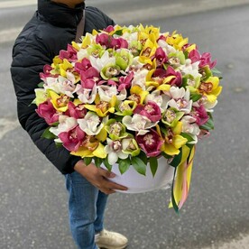 Орхидея цимбидиум, Рускус гипофиллум, Оазис, Шляпная коробка