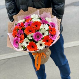 Разноцветная гербера