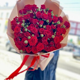Красная кустовая Роза