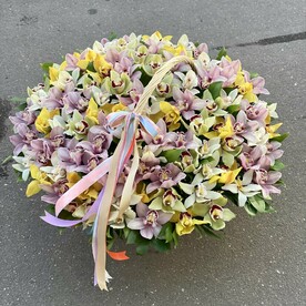 Орхидея цимбидиум, Рускус, Оазис, Корзина