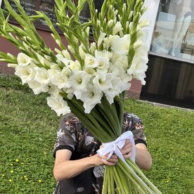 Белые гладиолусы