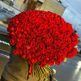301 голландская роза 🌹