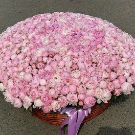Корзина из 501 пиона Сара Бернар