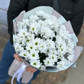 Белая кустовая хризантема