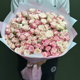 Кустовая роза Рефлекс
