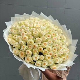 101 Эквадорская Роза Канделайт
