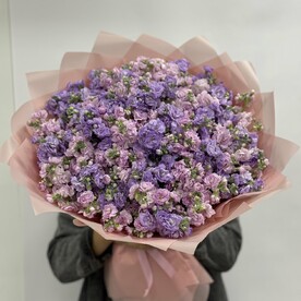 Кустовая маттиола
