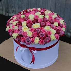 Роза Кения, Оазис, Коробка