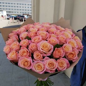 51 роза Мисс Пигги