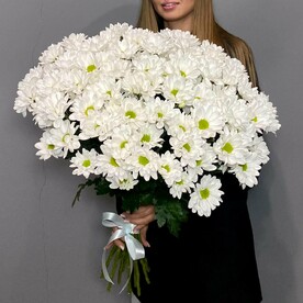 Большой букет ромашек (15 шт)