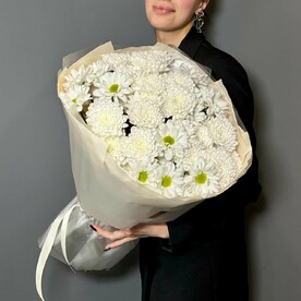 Хризантема кустовая, Пленка матовая, Тишью
