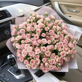Нежные розовые кустовые розы