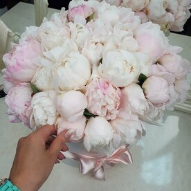 Белые пионы в коробке