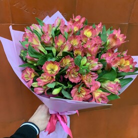Альстромерия, Пленка