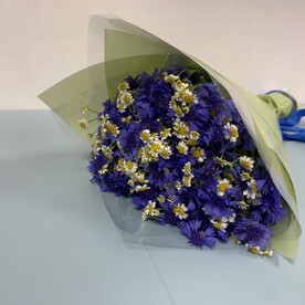 Ромашки и васильки