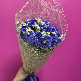 Гнездо кукушки