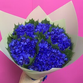 Василек