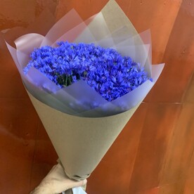 Васильки