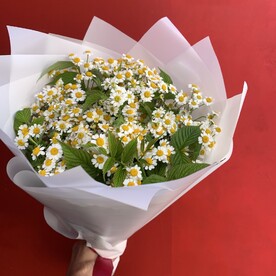 Ромашка шт, Упаковка шт