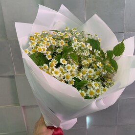 Ромашка шт, Упаковка шт