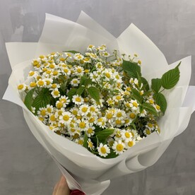 Ромашка шт, Упаковка шт