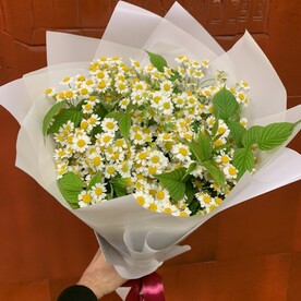 С днем рождения