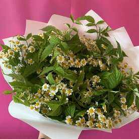 Ромашки лютики