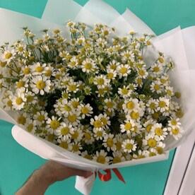 Ромашка шт, Упаковка шт
